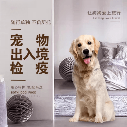朝阳区宠物托运到哥伦比亚猫狗宠物入境规定和