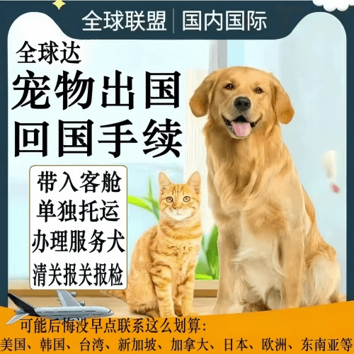 朝阳区宠物托运到柬埔寨宠物入境规定和要求