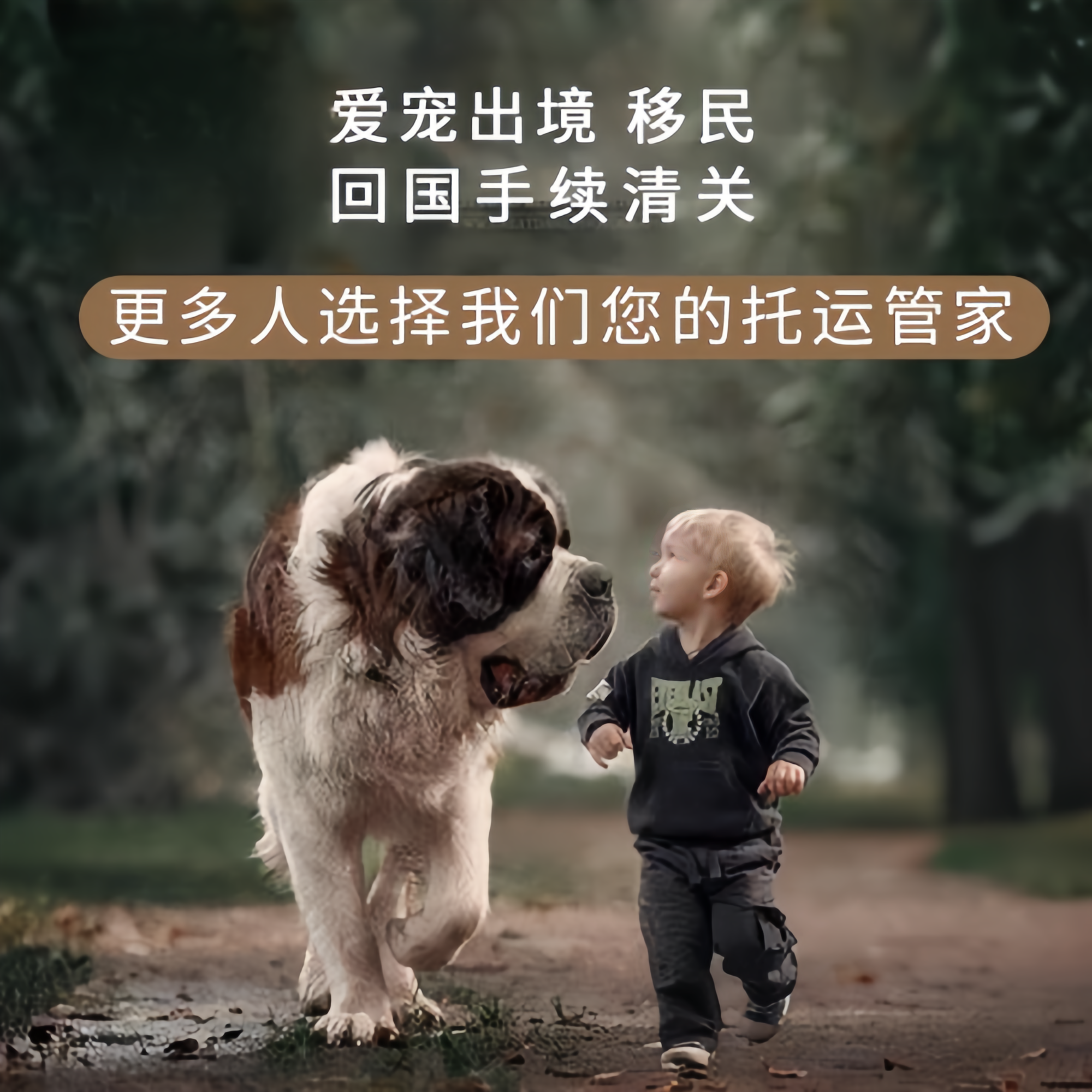 满财朝阳区宠物全球达宠物托运在遵守入境目的地政策的条件