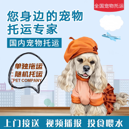 满财朝阳区宠物全球达宠物托运作为专业的宠物运输代理机构